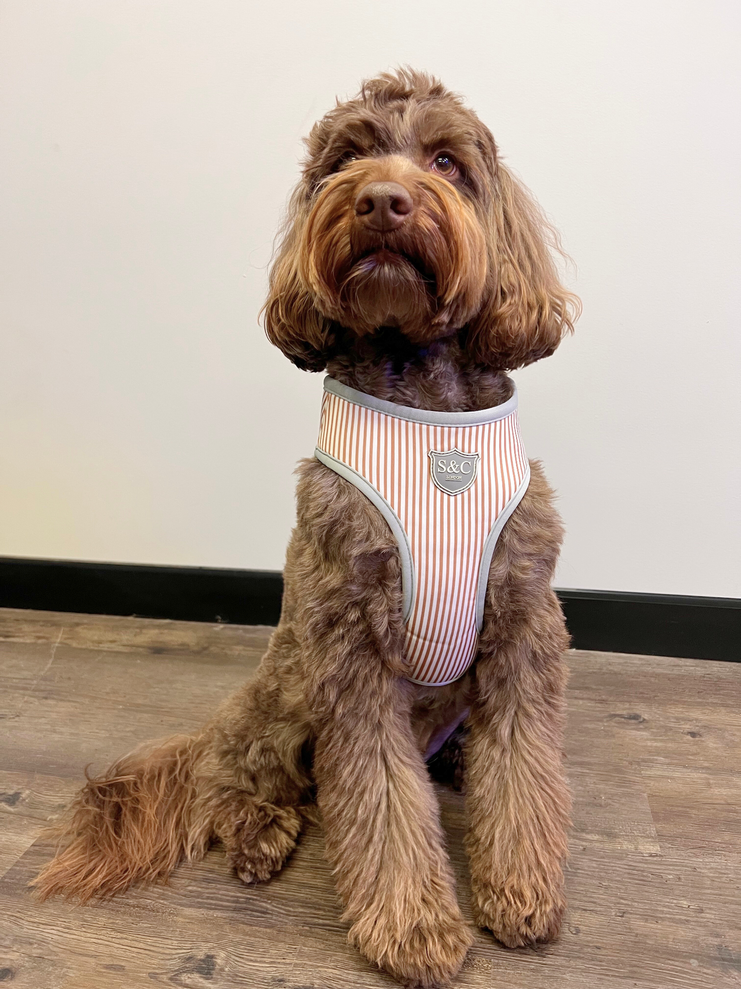 Bronze Stripe Designer Dog Harness