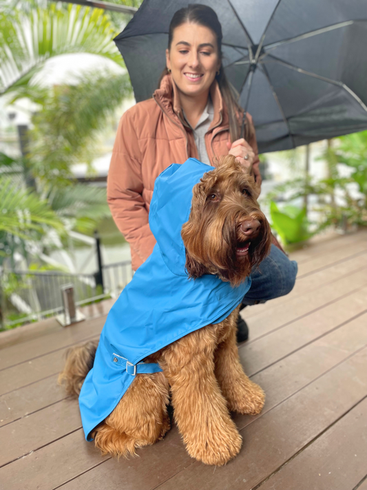 Blue Dog Raincoat