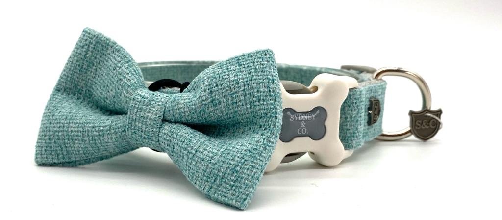Aqua Herringbone Premium Plastic Buckle Dog Collar