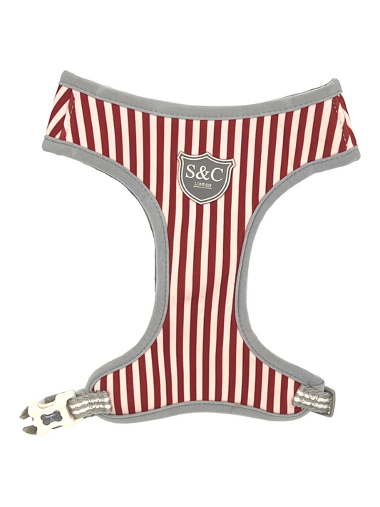 Cherry Stripe Designer Dog Harness