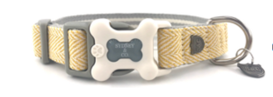 Gold Herringbone Premium Plastic Buckle Dog Collar