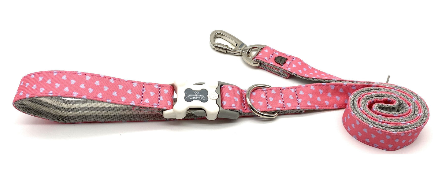 Pink with Pale Blue Hearts Designer Leash