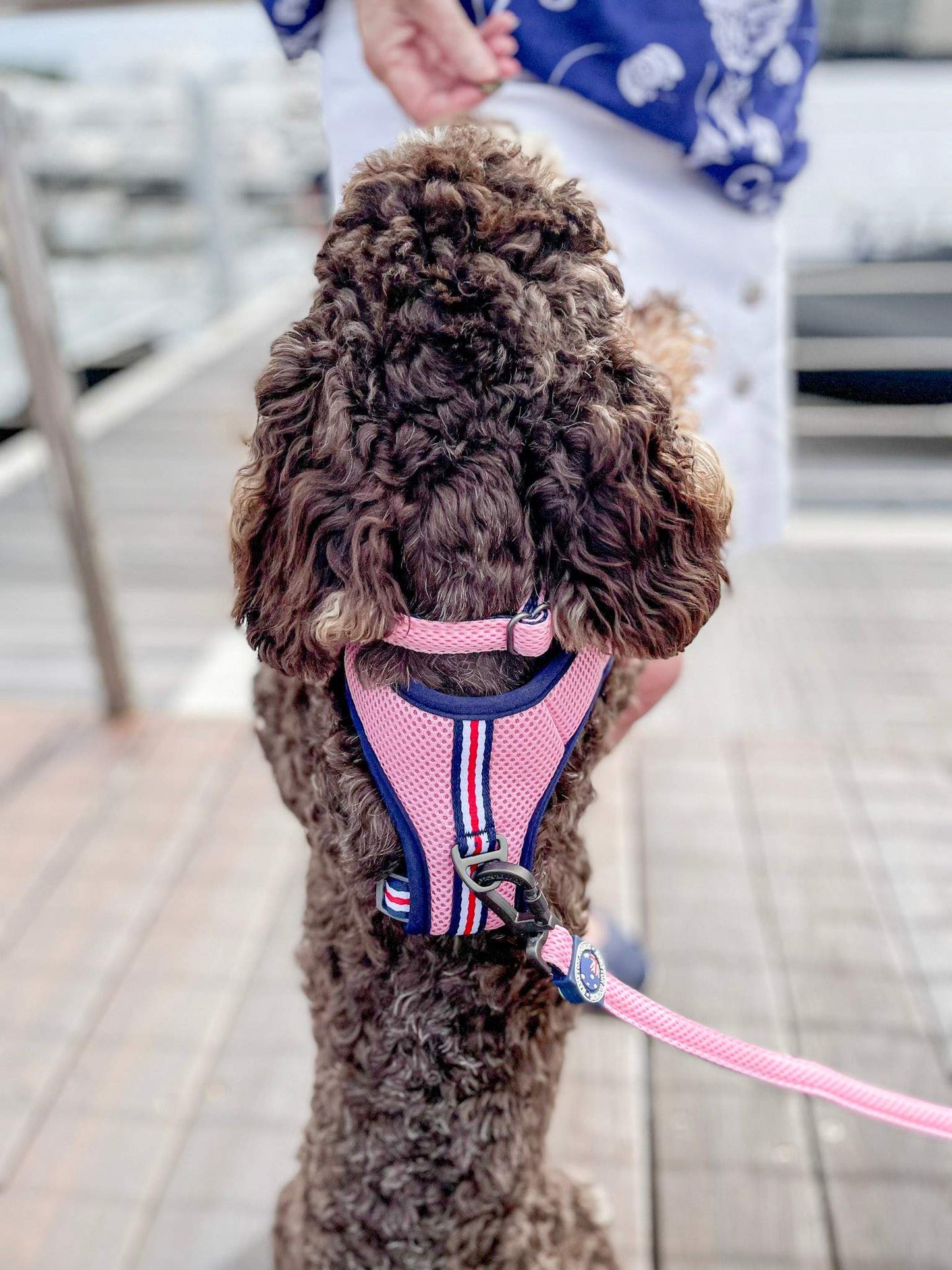 Mesh Dog Harness Pink
