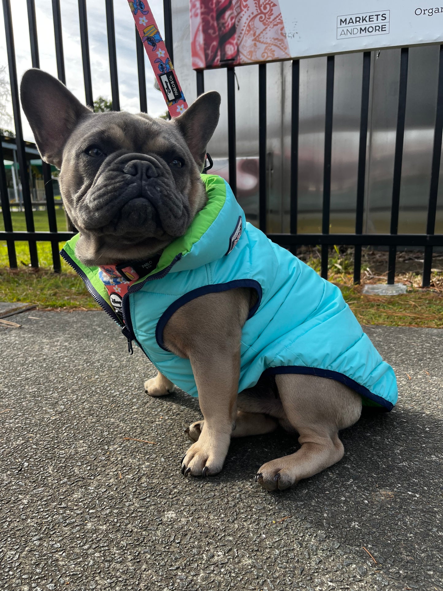 Aqua & Navy Reversible Dog Puffer Jacket