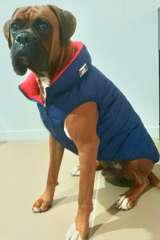 Red & Navy Reversible Dog Puffer Jacket