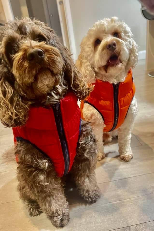 Orange & Navy Reversible Dog Puffer Jacket
