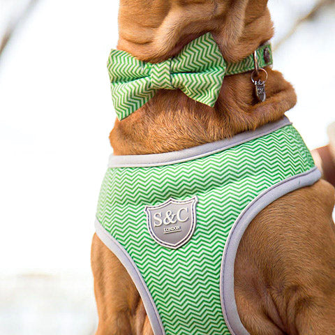 Lime Chevron Stripe Designer Dog Bow Tie