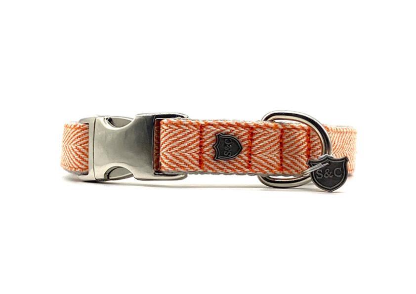 Orange Herringbone Premium Metal Buckle Collar