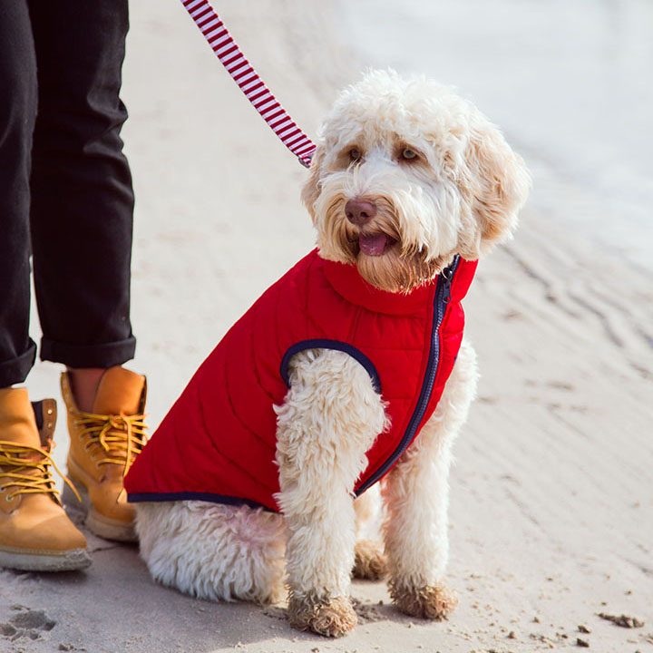Red & Navy Reversible Dog Puffer Jacket