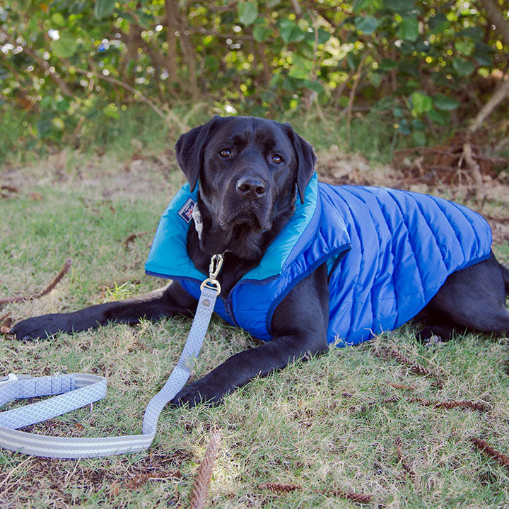 Azure & Sky Reversible Dog Puffer Jacket