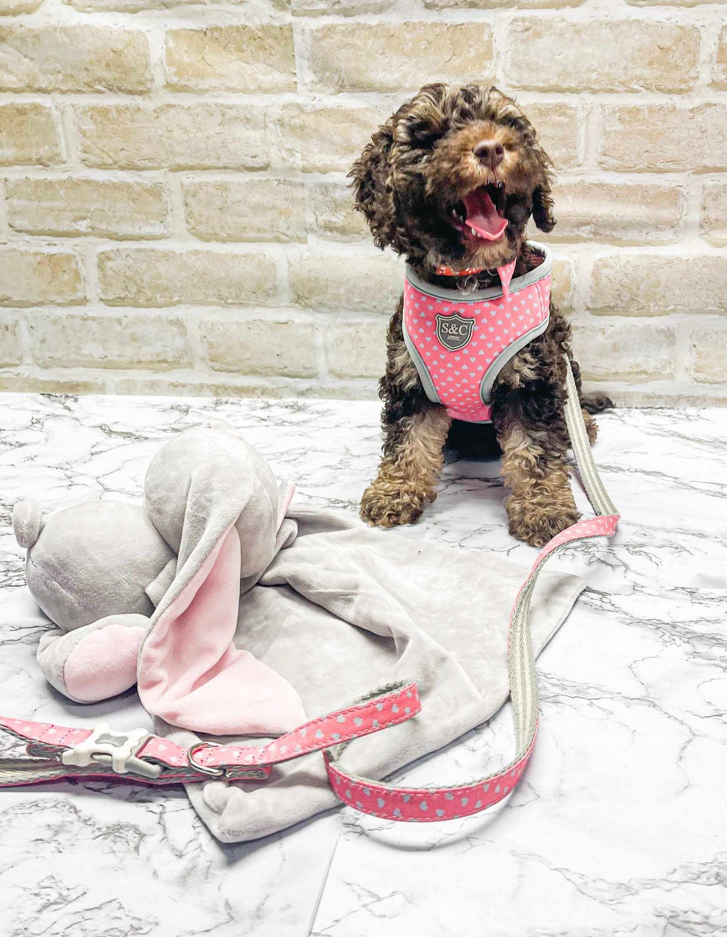 Pink With Pale Blue Hearts Designer Dog Harness