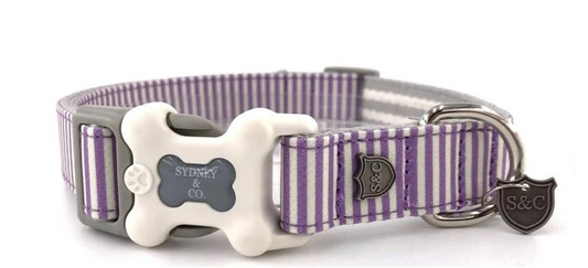 Lavender Stripe Designer Collar