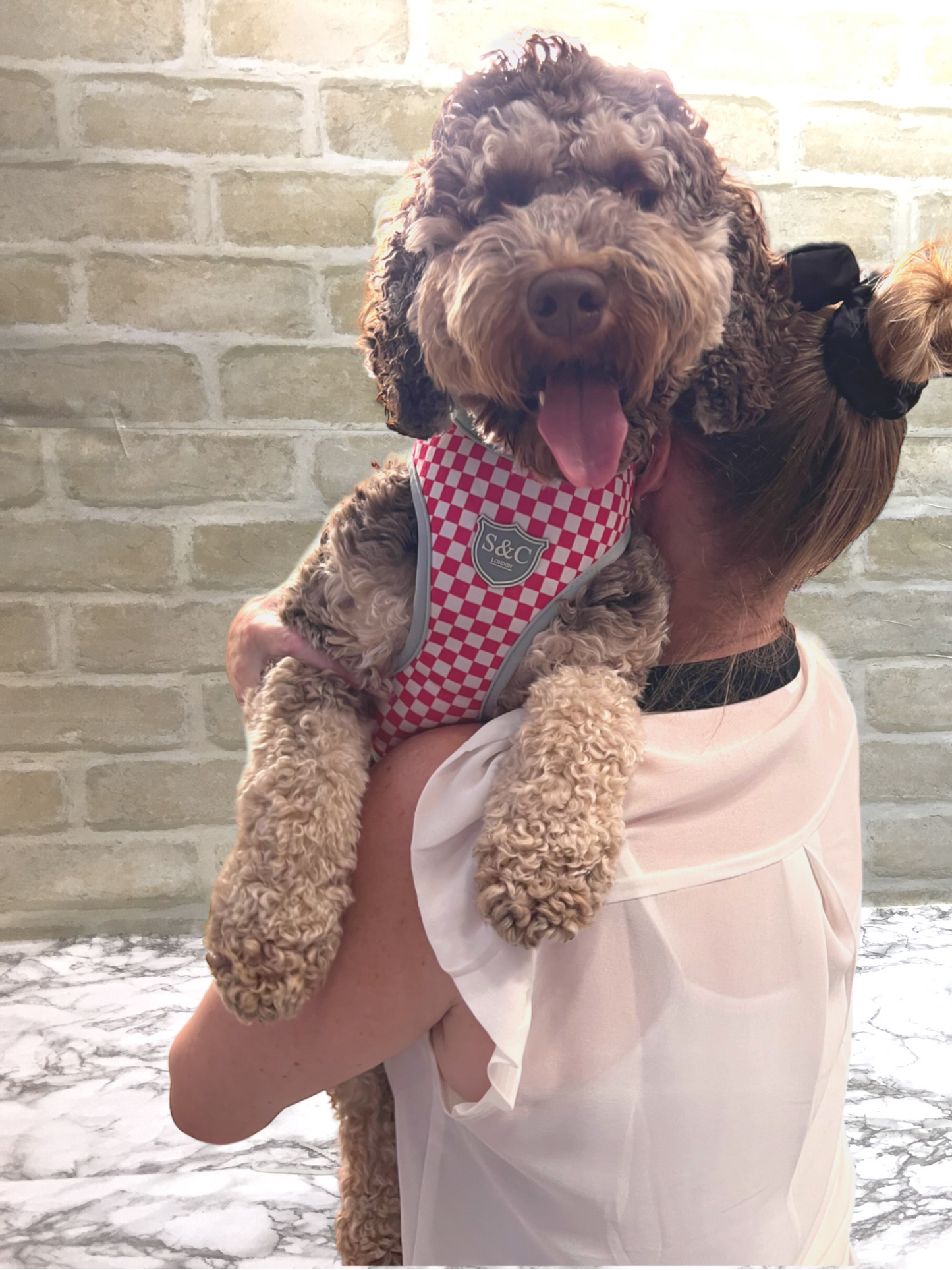 Pink Harlequin Designer Dog Harness