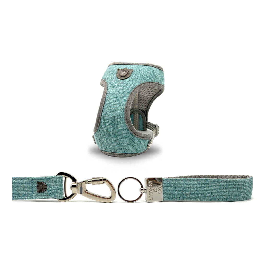 Aqua Herringbone Premium Dog Harness, Leash & Keyring Set