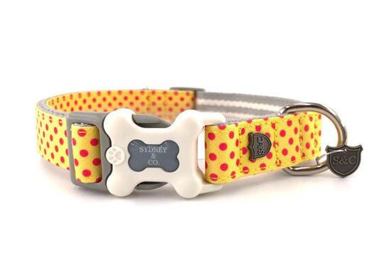Gold with Pink Spots Designer Collar
