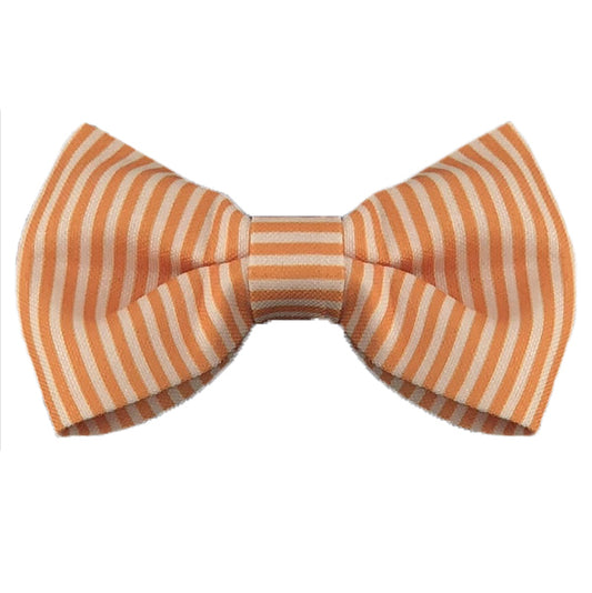 Apricot Stripe Designer Dog Bow Tie