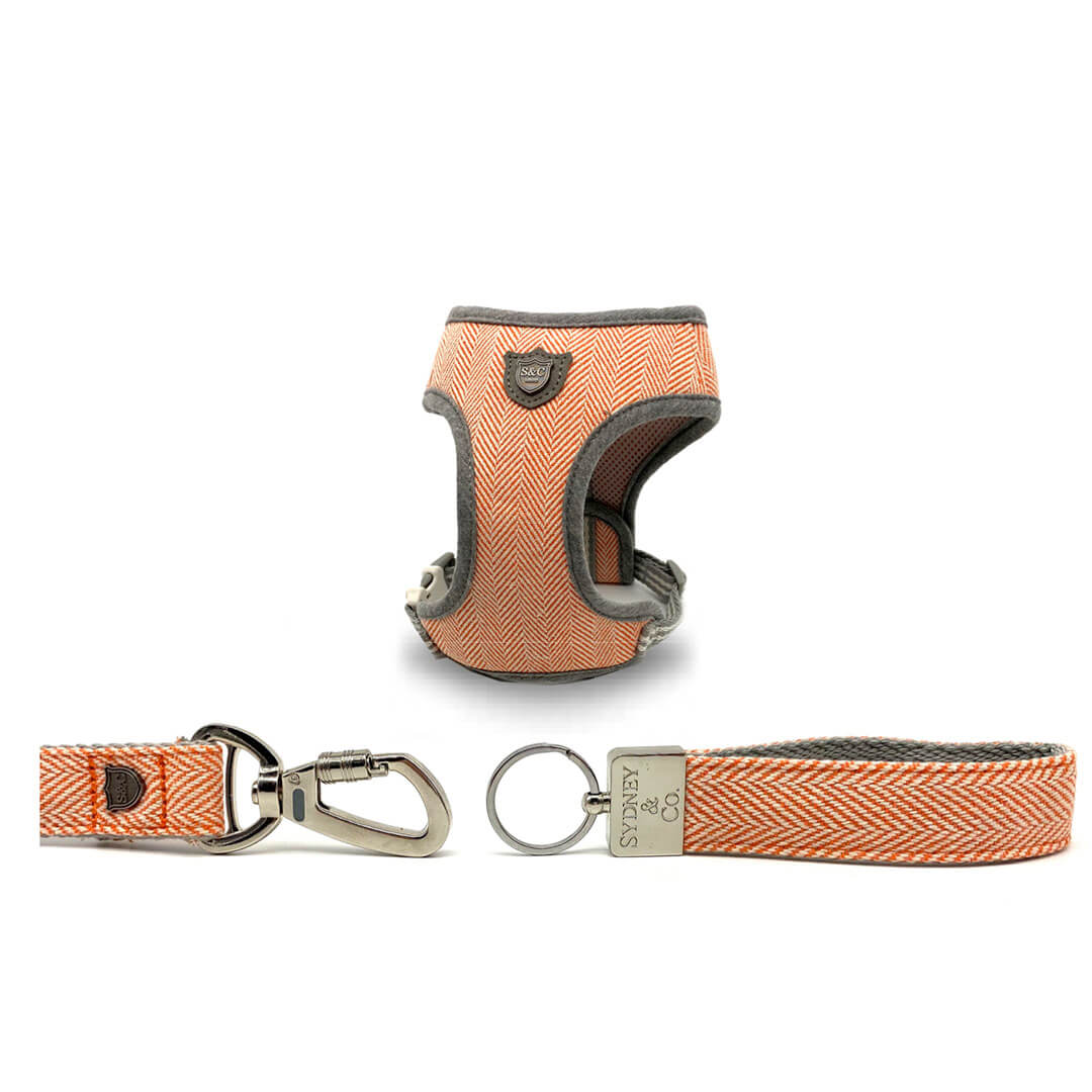 Orange Herringbone Premium Dog Harness, Leash & Keyring Set